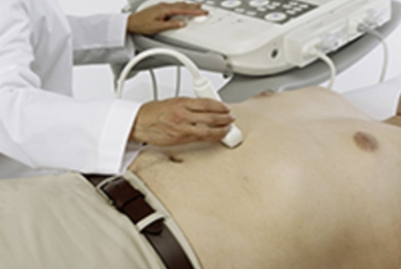 Malumido_abdomen